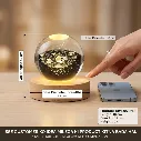 1000061028.webp